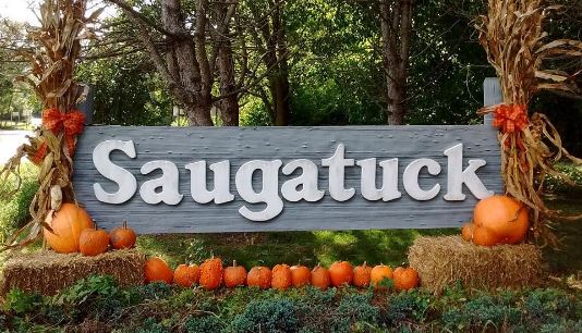 Saugatuck cutting ties with police department